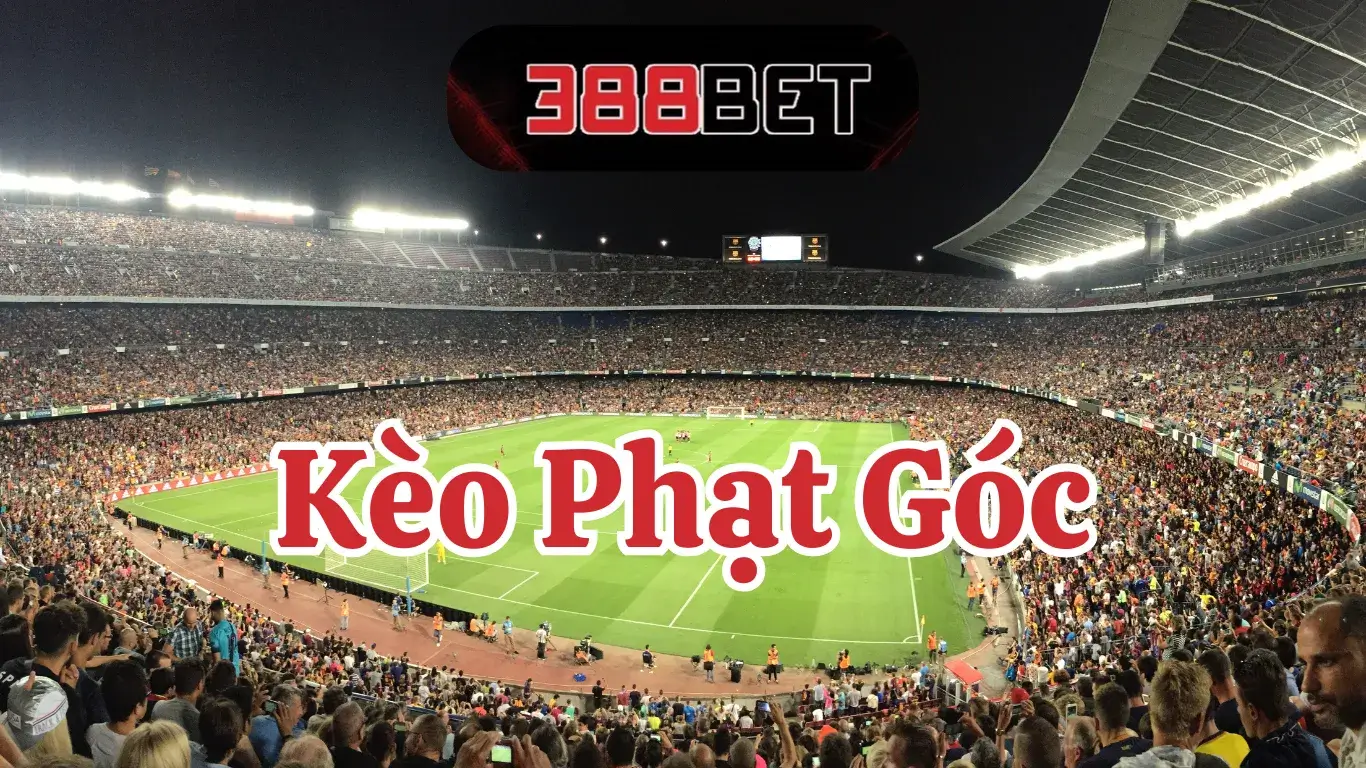 Kinh nghiệm soi kèo phạt góc 388BET hiệu quả